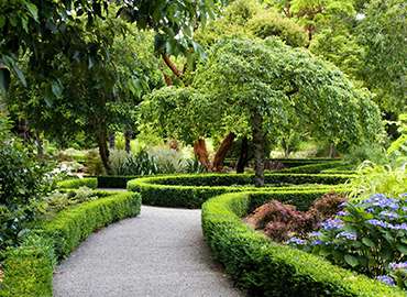 園林綠化養(yǎng)護(hù)