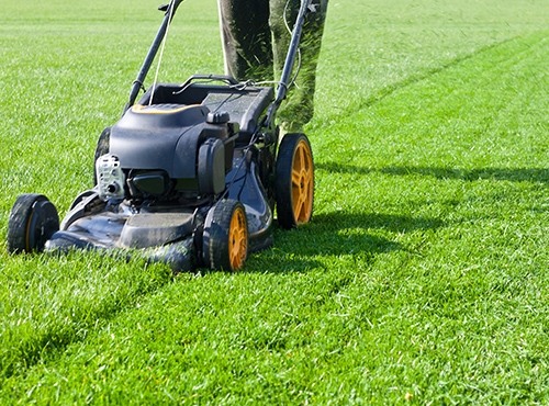 綠化養(yǎng)護(hù)